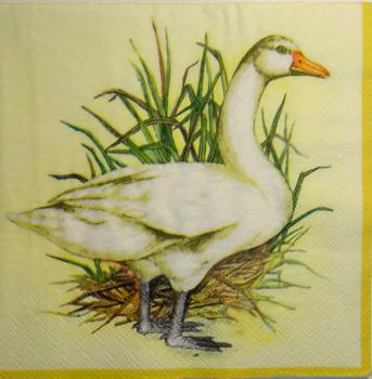 015 Enten - 3-lagig (gelb) - Ambiente